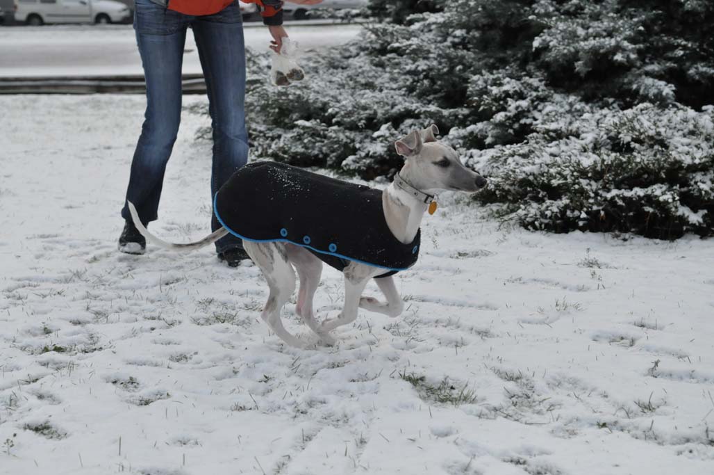 DSC_0283